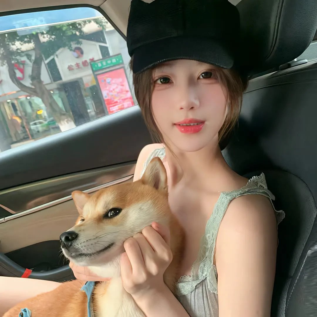 藏獒情未了
